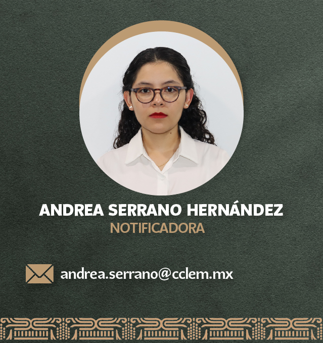Notificador 10